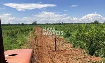 Imagem 5: Fazenda à venda, Rural, Ribas do Rio Pardo, MS