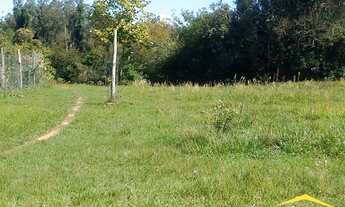 Imagem 10: Fazenda/Sítio/Chácara para venda tem 5643 metros quadrados em Lomba Grande - Novo Hamburgo