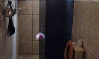 Imagem 4: Belo Horizonte - Apartamento Padrão - Milionarios (Barreiro