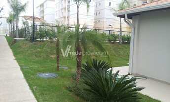 Imagem: Apartamento - Parque Euclides Miranda