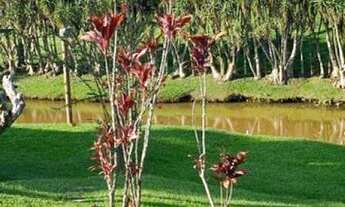 Imagem 2: LINDO SÍTIO Fazenda / sítio com venda por R$1.500.000