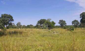 Imagem 7: Fazenda Pousada 30 Quartos Cuiabá - MT