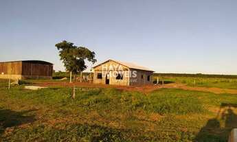 Imagem: Fazenda à venda, Rural, Ribas do Rio Pardo