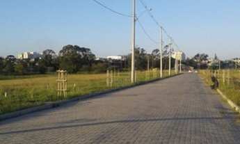 Imagem 7: PELOTAS - Terreno Padrão - Centro