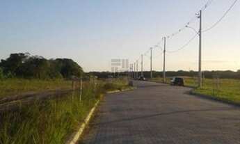 Imagem 6: PELOTAS - Terreno Padrão - Centro