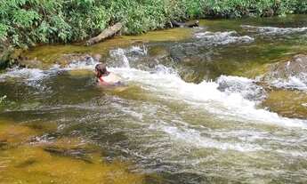 Imagem 7: Sítio em Presidente Figueiredo