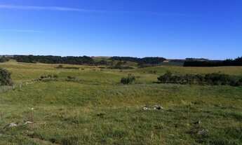 Imagem 2: LAJEADO GRANDE - Chácara - LAJEADO GRANDE