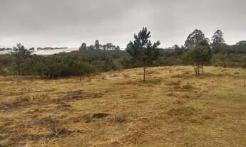 Imagem 3: Lote/Terreno para venda possui 500 metros quadrados em Verava - Ibiúna - SP