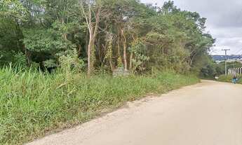 Imagem 3: Vendas Área Colombo PR