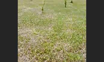 Imagem 3: Terreno à venda, 1700 m² por R$ 135.000,00 - Loteamento Agro Brasil - Cachoeiras de Macacu