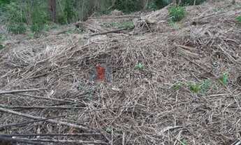 Imagem 4: Excelente Terreno com 643m² à Venda na Posse Teresópolis