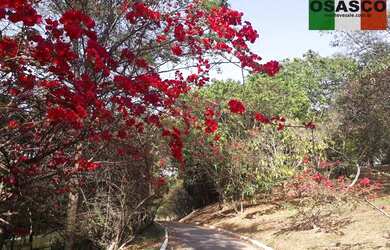 Imagem 4: Terreno de 334m² Sendo 11 X 30,36 metros, Leve Aclive