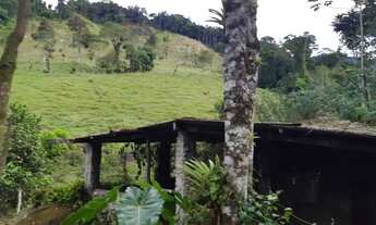 Imagem 6: VENDE-SE SITIO SÃO ROQUE PARATY RJ. COM 8.000 M²