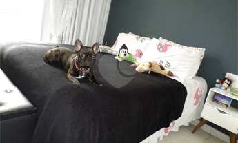 Imagem 4: Rio de Janeiro - Casa Padrão - Méier