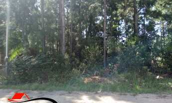 Imagem: ÓTIMO TERRENO PERTO DA LAGOA!! MUITO BEM