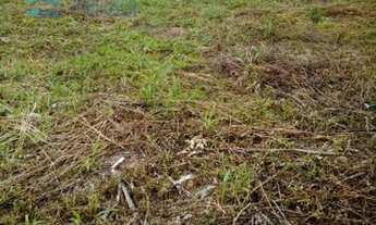 Imagem 3: Terreno á venda próximo Unimart Shopping-AT. 358,68-pequeno aclive-fácil aceso as rodovias