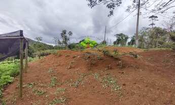 Imagem 7: Lote para venda com 1300 metros quadrados em Simão Pereira - MG