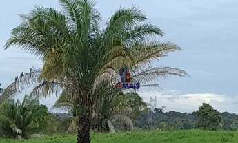 Imagem: Sítio à venda por R$ 2.520.000 - Zona