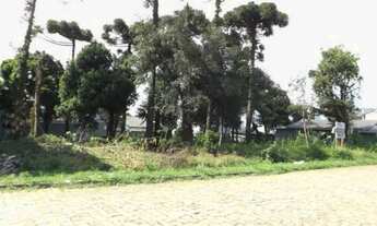 Imagem 2: CAXIAS DO SUL - Terreno Padrão - VILA VERDE