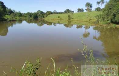 Imagem 6: Chácara para Venda em Petrolina de Goiás, Zona Rural, 2 dormitórios, 1 banheiro, 2 vagas