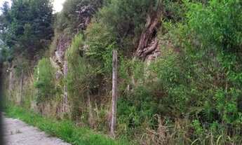 Imagem 3: CAXIAS DO SUL - Terreno Padrão - CINQUENTENÁRIO