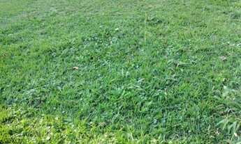 Imagem 4: Terreno à venda, 480 m² por R$ 980.000,00 - Alphaville - Santana de Parnaíba/SP