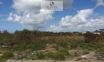 Imagem 4: Área, Feu Rosa, Serra - R$ 38 mi, Cod