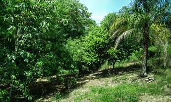 Imagem 2: Chácara Bolsão de segurança