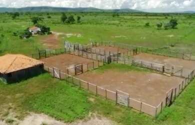 Imagem 4: Fazenda para Venda em Posse, Posse, 6 dormitórios, 3 suítes, 4 banheiros