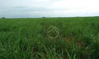 Imagem 3: Fazenda à venda, 3242800 m² - Centro - Nova Aurora/PR