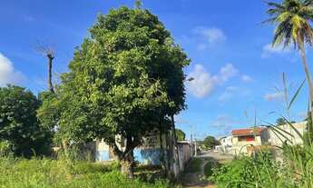 Imagem 5: Casa com 3 frentes, margens com Br 116