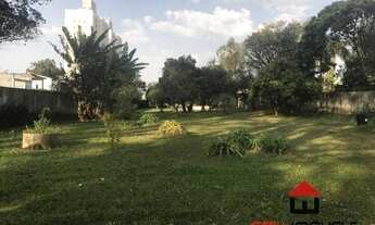 Imagem 6: Área Comercial / Jardim Áurea