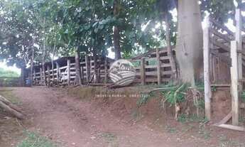 Imagem 5: Jaru - Sítio - 12 Alqueires