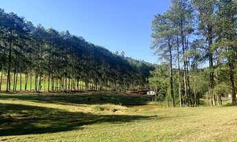 Imagem 2: Grande oportunidade de Sítio em Ibiúna!