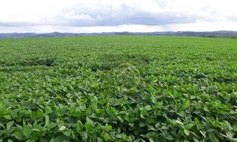 Imagem: Fazenda à venda, 2879800 m² por R$ 28.000.000,00