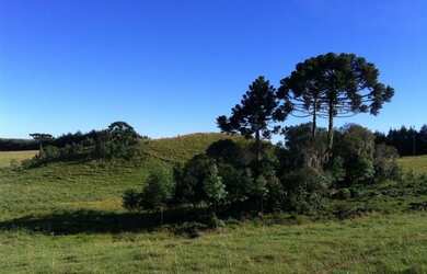 Imagem 3: LAJEADO GRANDE - Chácara - LAJEADO GRANDE