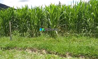 Imagem 5: TIMóTEO - Fazenda - Zona Rural