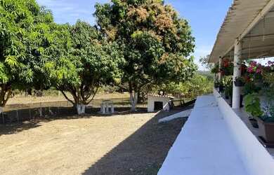 Imagem 6: Chacara 22 mil m