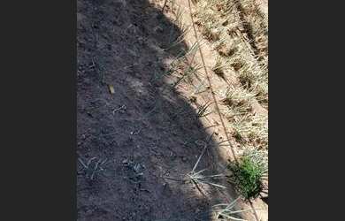 Imagem 6: Chácara em Paranaita Mt