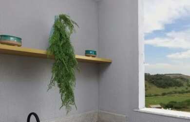 Imagem 7: OPORTUNIDADE APARTAMENTO DE 65M COM 3 DORMITÓRIOS SENDO 1 SUÍTE COM CHURRASQUEIRA NA VARAN