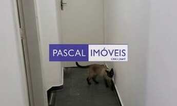 Imagem 5: SãO PAULO - Casa Padrão - Campo Belo