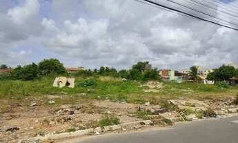 Imagem 3: Terreno no Rosa Elze 21028