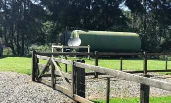 Imagem 3: Campo Largo, 52 alq, 125 ha, Haras, gado ou reflorestamento