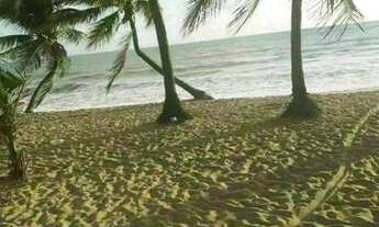 Imagem 3: Casa para aluguel possui 80 metros quadrados com 2 quartos em Bessa - João Pessoa - Paraíb