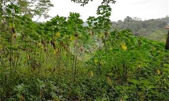 Imagem 7: Terreno Residencial Venda -Ótima localização, 521 m²- Barro Branco- São Paulo/SP
