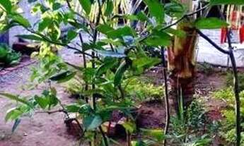 Imagem 6: Casa térrea com 2 dorms. em via pública Vila Santa Terezinha - Carapicuíba