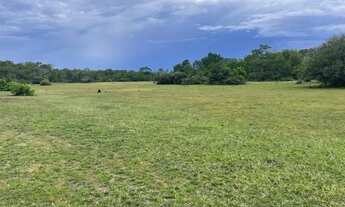 Imagem 4: Fazenda no pantanal MT