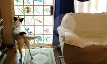 Imagem 4: Casa a Venda em São Paulo, localizada a 1 km da avenida Paulista próximo do Metrô Ana Rosa