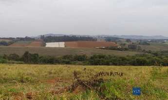 Imagem 2: Sítio com 4 dormitórios à venda, 411400 m² por R$ 8.600.000 - Curralinho - Pouso Alegre/MG