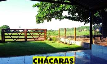 Imagem 3: Fazenda de Cultura em Palmas pecuária